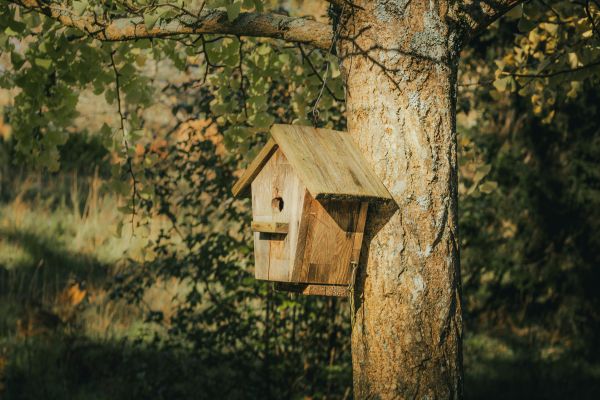 Vogelhäuschen hängt an einem Baum