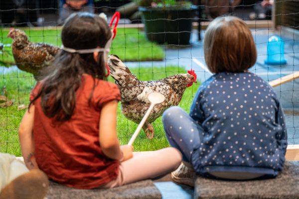 Zwei Kinder sitzen vor eingezäumten Hühnern